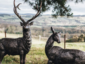 Large Bronze Stag and Doe
