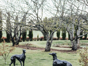 a pair of bronze greyhounds