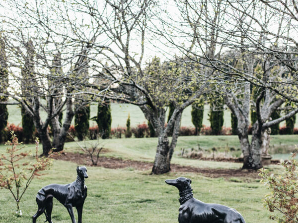 a pair of bronze greyhounds