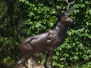 Single Large Bronze Stag On A Rock
