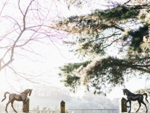 A Pair Of Bronze Horses