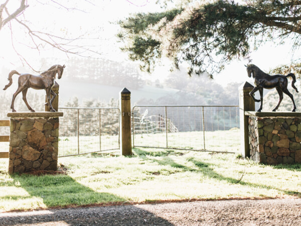 A Pair Of Bronze Horses