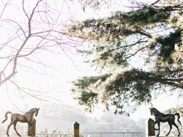 A Pair Of Bronze Horses