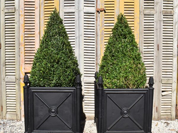Heavy cast iron Versailles style planter boxes