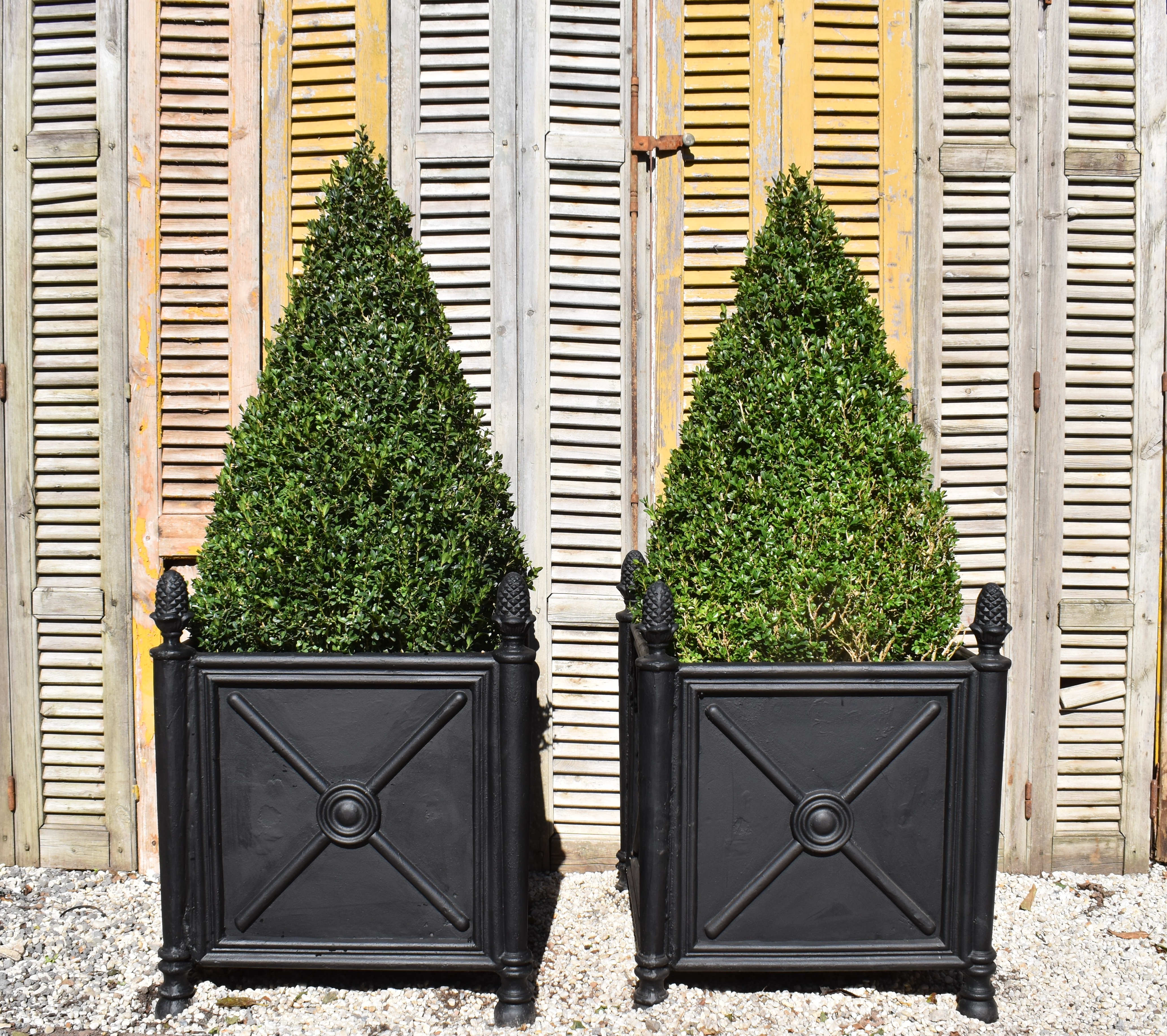 Heavy cast iron Versailles style planter boxes